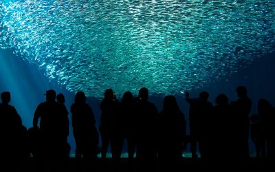 Monterey Bay Aquarium