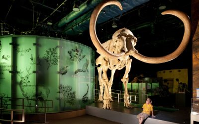 Nevada State Museum