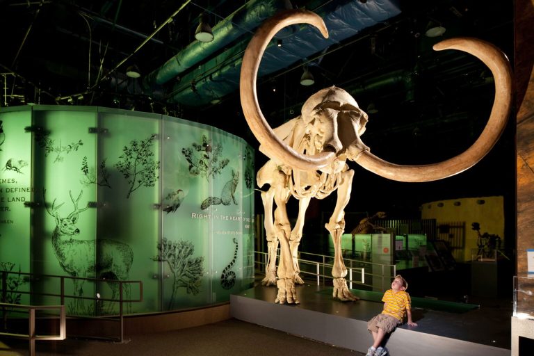 Nevada State Museum website 768x512