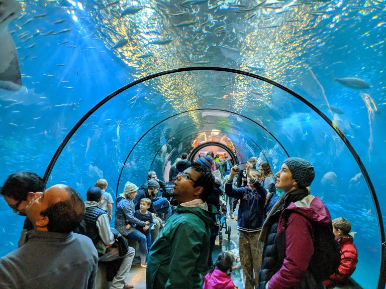Oregon Coast Aquarium Photo by Dolanh on Flickr 768x576
