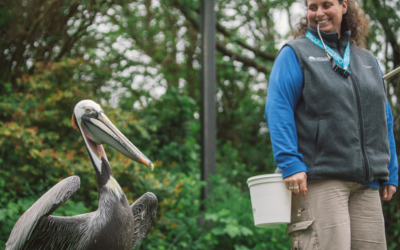 Oregon Coast Aquarium