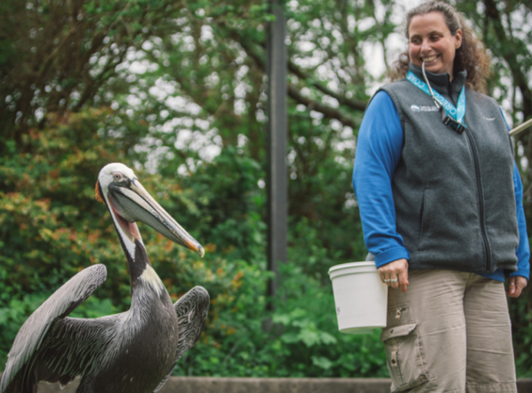 Oregon Coast Aquarium website 2 768x567