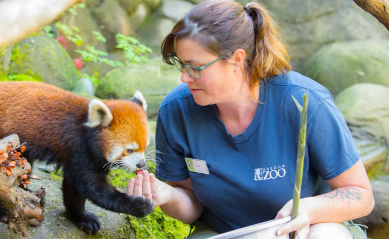 Oregon Zoo website 1 768x473