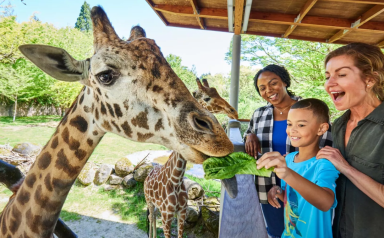 Oregon Zoo website 2 768x476