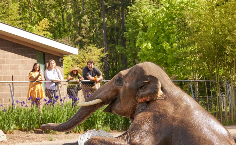 Oregon Zoo website 3 768x473