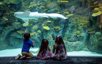 Seattle Aquarium