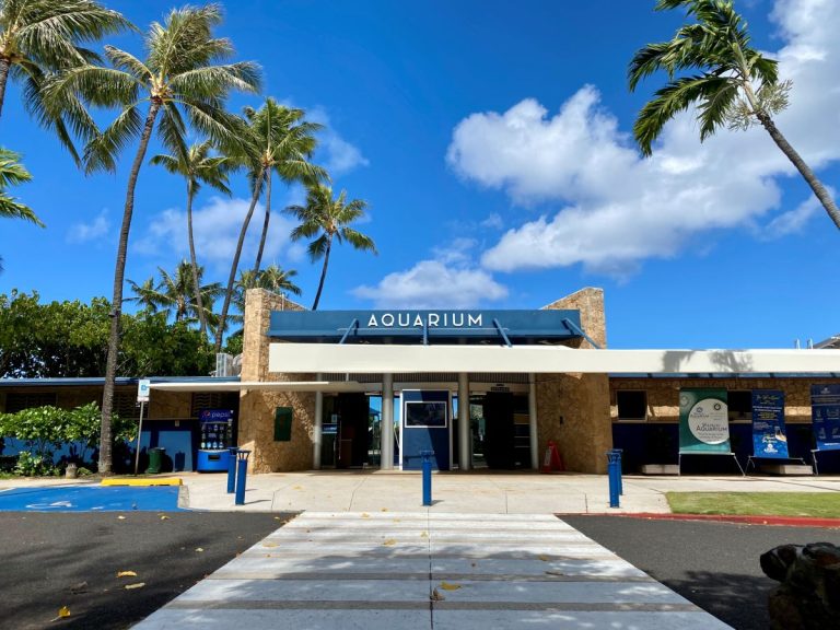 Waikiki Aquarium Hawaii Visitors Convention Bureau 768x576