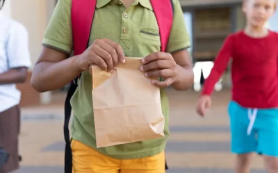 Disposable Sack Lunches for Field Trips