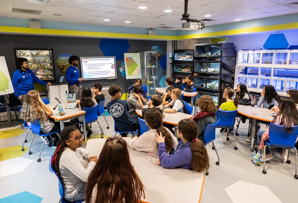 Instructor Led Program