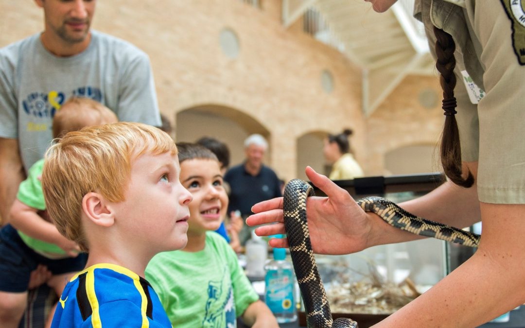 Georgia Field Trips for Students