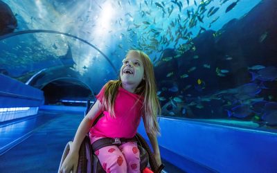 Education Beyond the Classroom in Georgia