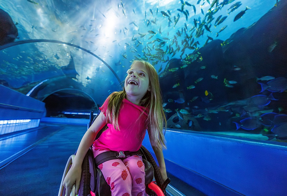 Education Beyond the Classroom in Georgia