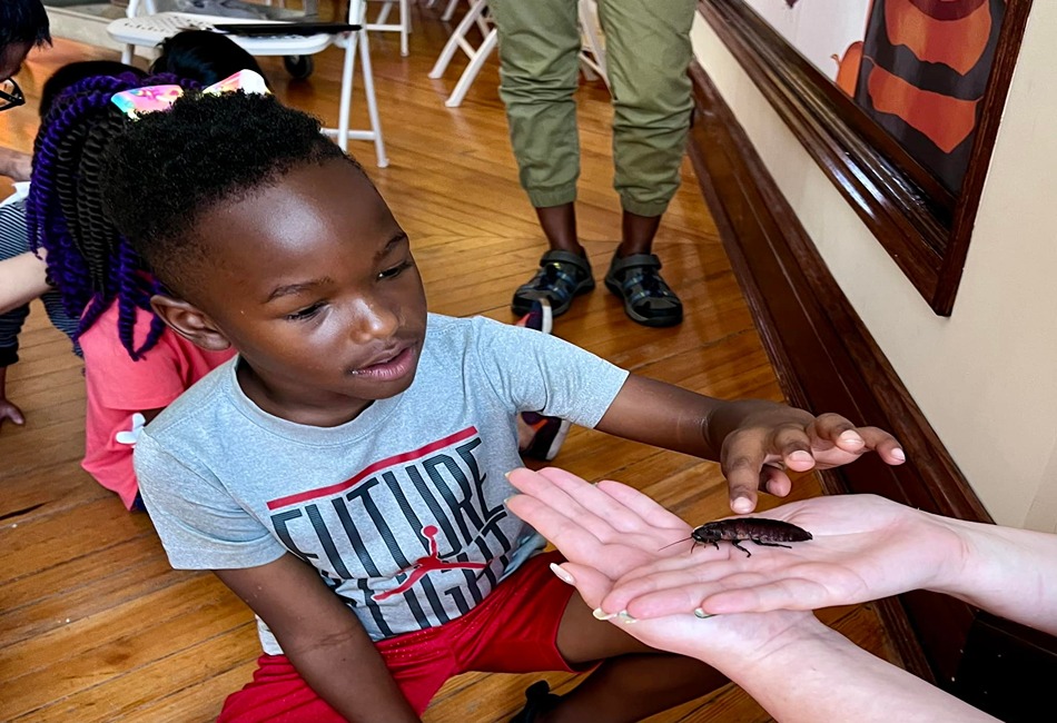 Civil Rights Institute