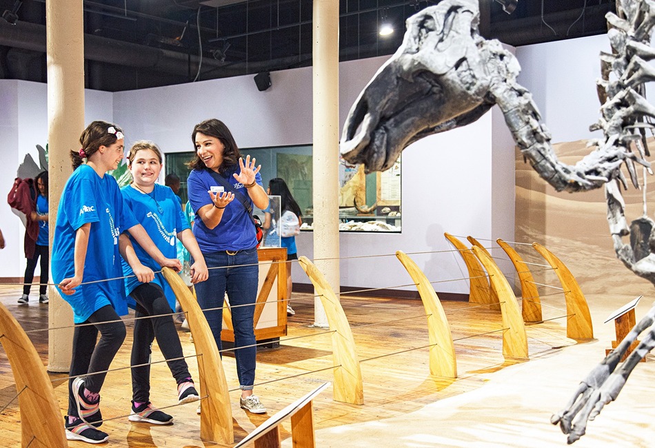 Gigantic science exhibits