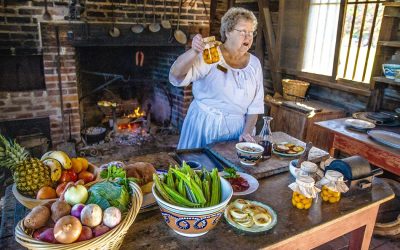 Louisiana Field Trips for Students