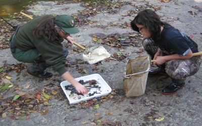 West Virginia Field Trips for Students