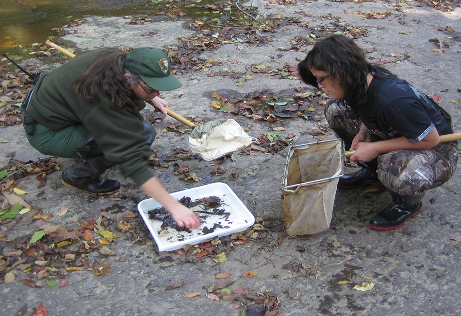 educational programs