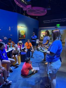Mississippi Aquarium