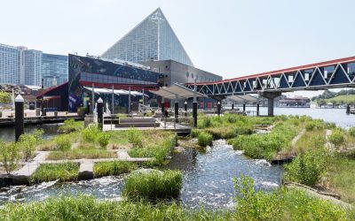 Baltimore’s National Aquarium for Students