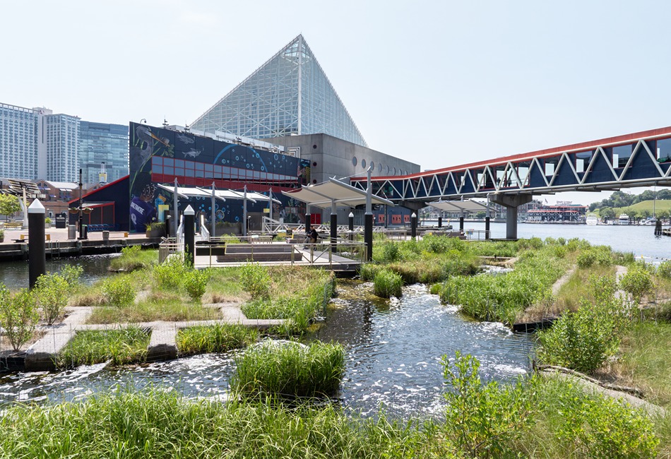Baltimore’s National Aquarium for Students