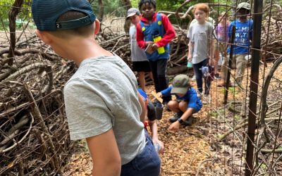 Maryland’s History, Natural Habitats and Heritage