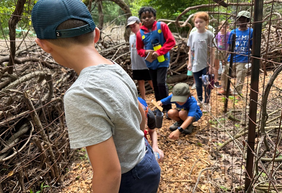 Irvine nature Center