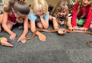 Irvine Nature Center