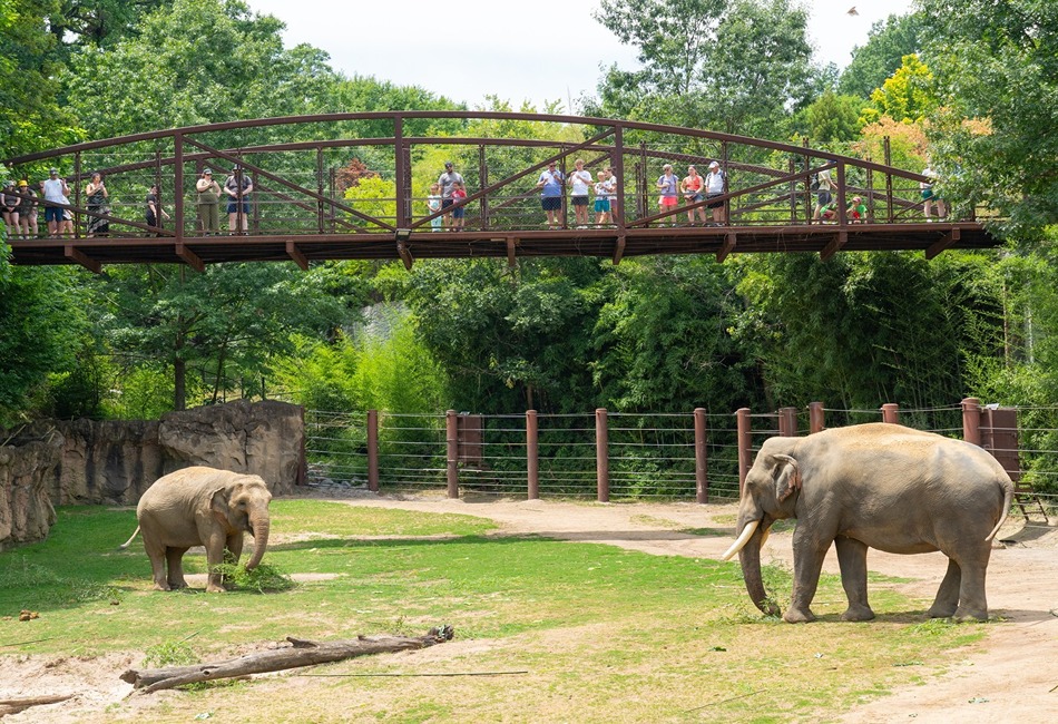 Smithsonian National Zoo