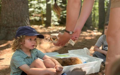 Nature and History for Student Groups in Vermont