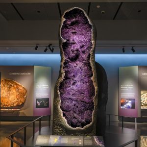 Giant Amethyst