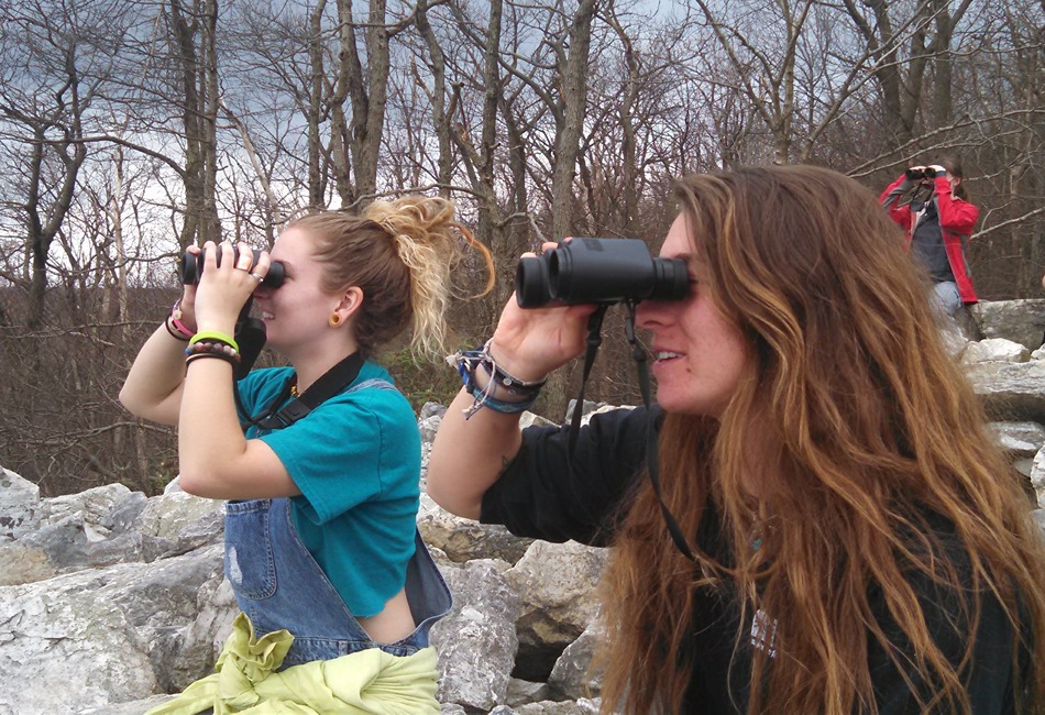 Hawk Mountain Sanctuary