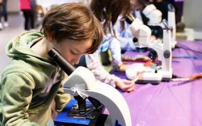 New Jersey’s Battleship Tours, Captivating STEM & Living History