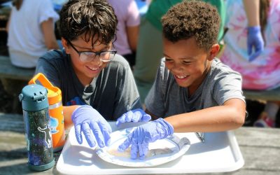 Connecticut: Where the Past Meets the Future