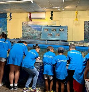  Interactive exhibits at Biomes Marine Biology Center. 