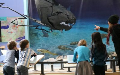 New York Educational Escapes