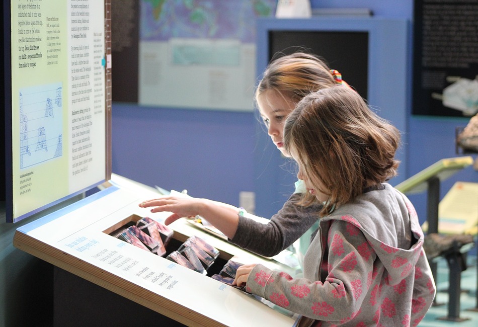 Museum of the earth hands
