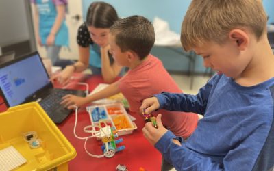 Art, Archaeology and the Arctic in Maine