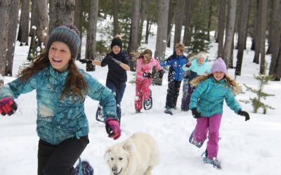 Cold-Weather Field Trips Students Will Love