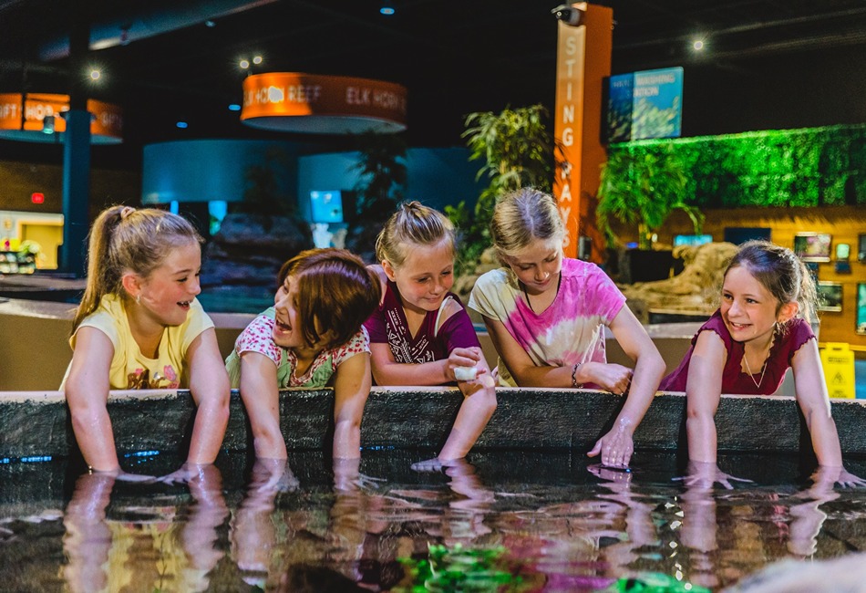 Living Shores Aquarium