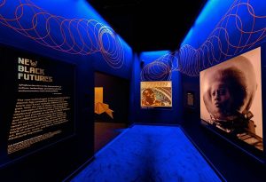 Captivating Exhibits