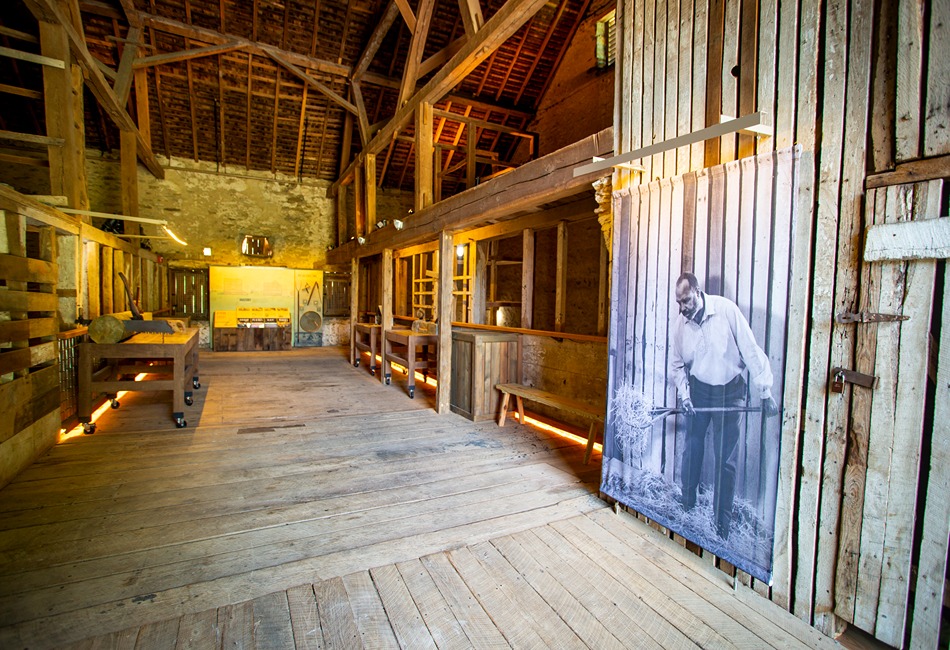 Woodlawn Manor Culture