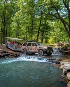 Dogwood Canyon Nature Park