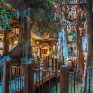 A NATURAL LEARNING LAB IN THE OZARKS