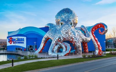 Aquarium at the Boardwalk
