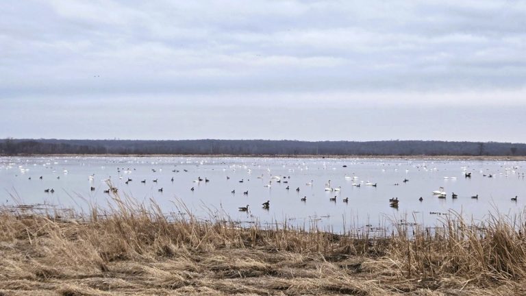Amana Colonies in Iowa 4. Credit Amana Colonies CVB Facebook 768x432