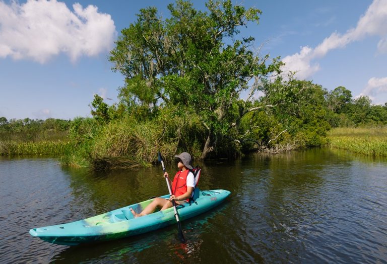Pascagoula River Audubon Center in Coastal Mississippi 768x525