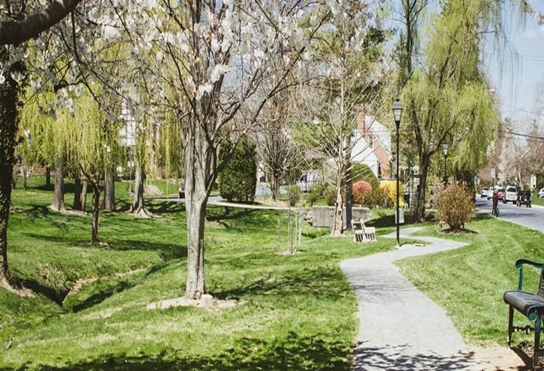 Camp Hill PA 768x525