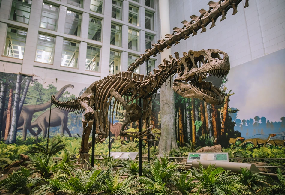 Carnegie Museum of Natural History in Pittsburgh. Photo credit - Julie Kahlbaugh