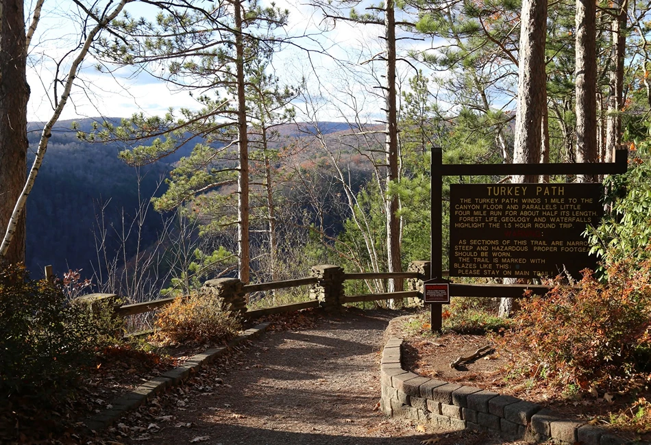 Leonard Harrison State Park in Tioga County, PA. Photo credit - Leonard Harrison State Park Facebook