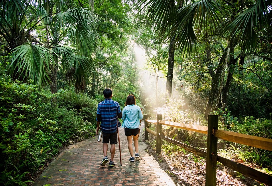Rainbow Springs State Park in Florida. Photo credit - Florida State Parks Facebook